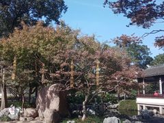 -枫桥景区
