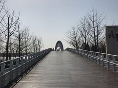 -大兴滨河森林公园