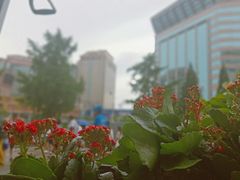 -哈根达斯(国瑞店)