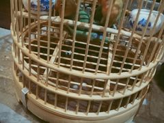 -印象江南(东栅店)