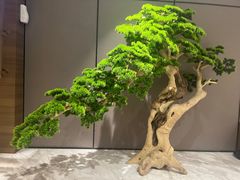 -青水瓦台汤泉(未央店)