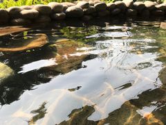 -融汇温泉