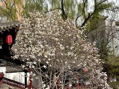 -碑林公园