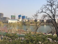 -西海子公园