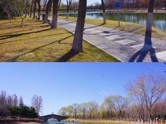 -大兴滨河森林公园