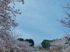 -苏州上方山国家森林公园