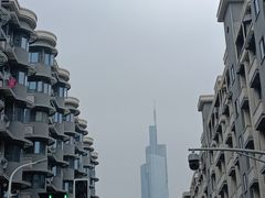-紫峰大厦