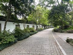 -杭州植物园