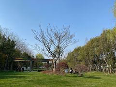 -佘山地铁站-停车场