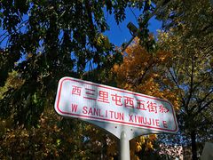 -三里屯东五街银杏大道