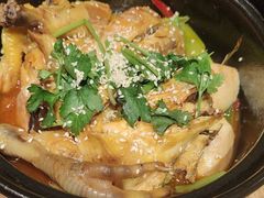 有故事的椒麻鸡-周家二小姐的菜(西津渡店)