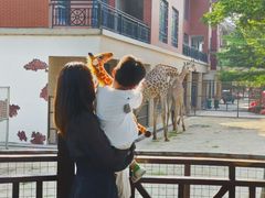 -灵玲国际马戏城