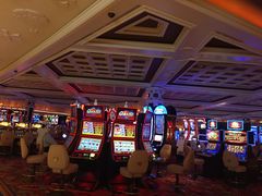 -拉斯维加斯永利酒店