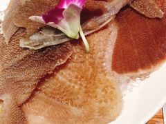 脆毛肚-草原塞蛮羊火锅城(港湾店)