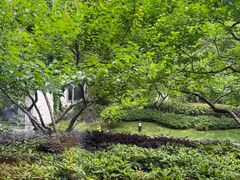 -杭州西湖柳莺里酒店·闻莺厅