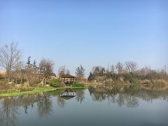 -桤木河湿地公园