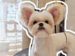 -熊小胖宠物生活馆(天华园店)