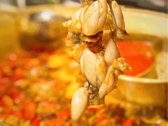 -哥老官重庆美蛙鱼头(龙湖杭州金沙天街店)
