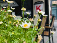 -方恒购物中心(望京小街店)