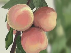 -兰湘子·湘菜小炒(石家庄万象城店)