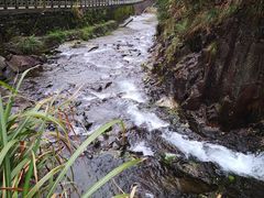 -宁波五龙潭景区