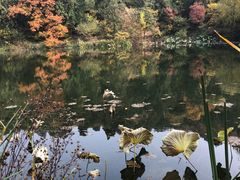 -香山公园