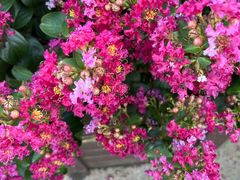 -杭州城北体育公园