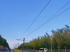 -莫子山公园