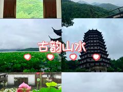 -杭州少年儿童公园