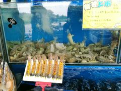 -蚝专家(北滘店)