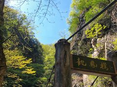 -牛背梁国家森林公园