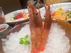 -月龍吟(朝龙汇店)