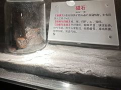 -广东中医药博物馆