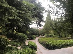 -郑和公园