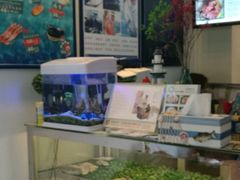 -深蓝金枪·深海鱼刺身(香洲店)