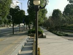 -南翔镇银翔湖公园