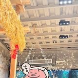 这个院子，有两副面孔[狗头][狗头]