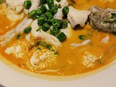 鲜椒豆花鲈鱼-川味堂·四川豆花(八卦岭店)