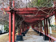 -董永七仙女文化园