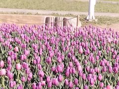 -长春公园(普阳街道)