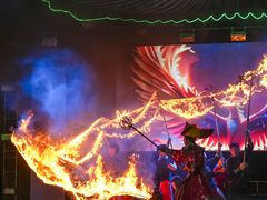 -武汉园博园(武汉自然博物馆)