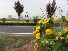 -陕西省红河谷森林公园