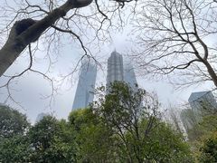-陆家嘴中心绿地