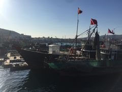 -拓恩帆船俱乐部