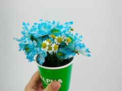 -ALPHA COFFEE阿尔法咖啡(虹莘路店)
