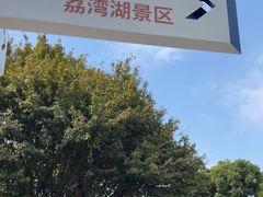 -荔湾湖公园