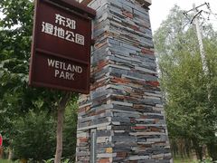 -东郊湿地公园