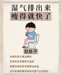 -Fundi张玉珊修身堂·indiba·BTL科技瘦身