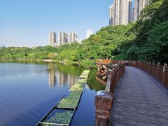 -重庆彩云湖湿地公园