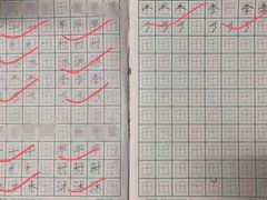 -赵汝飞练字硬笔书法(静安大融城校区)
